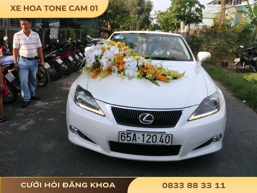 Xe hoa tone cam 01